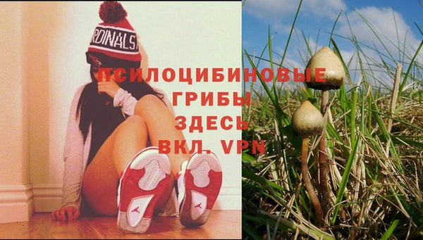 COCAINE Белокуриха