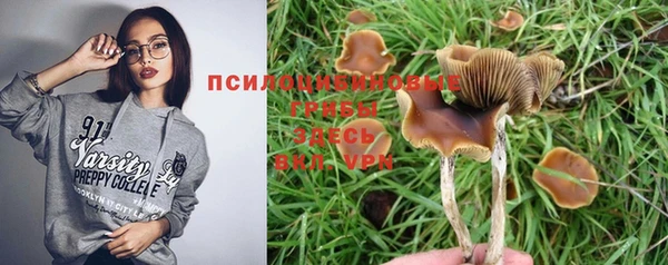 MDMA Premium VHQ Беломорск