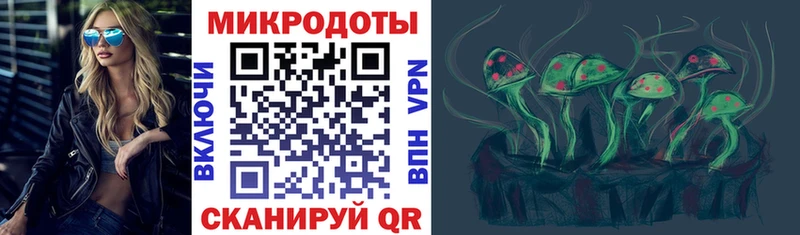 Галлюциногенные грибы Psilocybine cubensis  Купить где  Болгар 