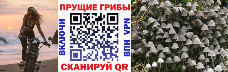 Галлюциногенные грибы MAGIC MUSHROOMS Болгар
