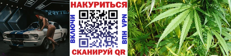 Купить  Болгар  Бошки Шишки SATIVA & INDICA 